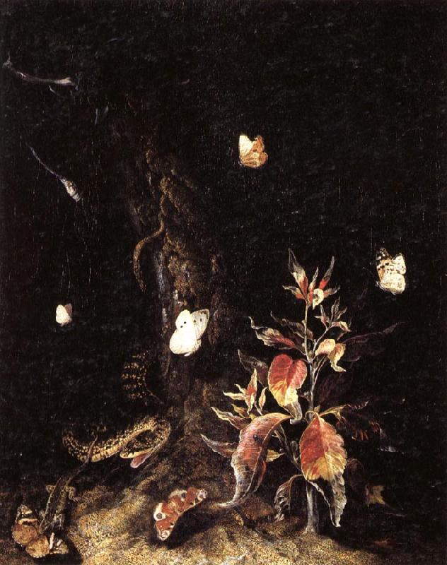 SCHRIECK, Otto Marseus van Reptiles,Butterflies,and Plants at the Base of a Tree France oil painting art